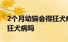 2个月幼猫会得狂犬病吗贴吧 2个月幼猫会得狂犬病吗 