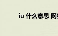 iu 什么意思 网络iu是什么意思 