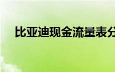 比亚迪现金流量表分析 现金流量表分析 