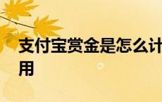 支付宝赏金是怎么计算的 支付宝赏金有什么用 