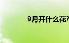 9月开什么花? 9月开什么花 