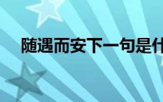 随遇而安下一句是什么 随遇而安下一句 