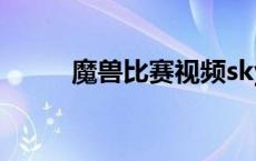 魔兽比赛视频sky wow比赛视频 