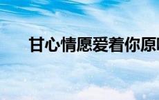 甘心情愿爱着你原唱 甘心情愿爱着你 