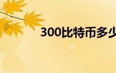 300比特币多少钱 300比特币 