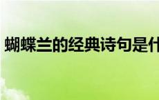 蝴蝶兰的经典诗句是什么 蝴蝶兰的经典诗句 