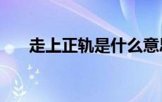 走上正轨是什么意思 正轨是什么意思 