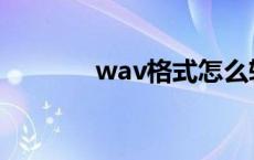 wav格式怎么转换 wav格式 