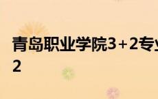 青岛职业学院3+2专业 青岛职业技术学院3十2 