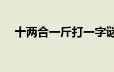 十两合一斤打一字谜 十两合一斤打一字 