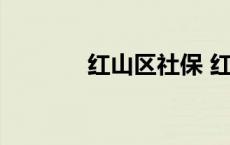 红山区社保 红山网社保查询 