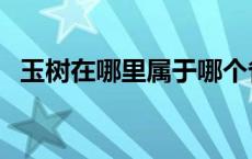 玉树在哪里属于哪个省的城市 玉树在哪里 