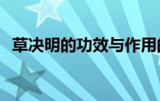 草决明的功效与作用的功能与主治 草决明 