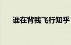 谁在背我飞行知乎 谁在背我飞行奇遇 