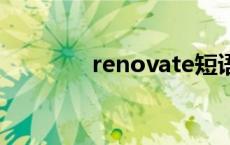 renovate短语 renovated 