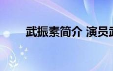 武振素简介 演员武振素的妻子是谁 