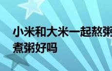 小米和大米一起熬粥可以吗 小米和大米一起煮粥好吗 