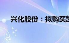 兴化股份：拟购买凯越煤化51%的股权