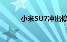 小米SU7冲出停车场致一死三伤