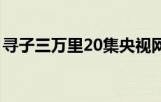 寻子三万里20集央视网在线观看 寻子三万里 