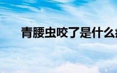 青腰虫咬了是什么症状会死吗 青腰虫 