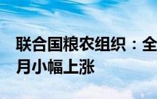 联合国粮农组织：全球食品价格指数连续3个月小幅上涨