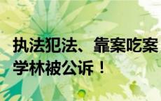 执法犯法、靠案吃案，最高法民一庭原庭长郑学林被公诉！