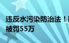 违反水污染防治法！陕西西凤酒股份有限公司被罚55万