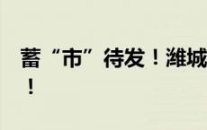 蓄“市”待发！潍城助企驶入上市“快车道”！