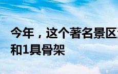 今年，这个著名景区清除11吨垃圾、4具尸体和1具骨架