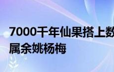 7000千年仙果搭上数字快车，6月“热搜”当属余姚杨梅