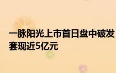 一脉阳光上市首日盘中破发，王世和、顾军军或因行贿事件套现近5亿元