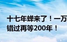 十七年蝉来了！一万亿“滋儿哇”席卷美国，错过再等200年！