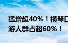 猛增超40%！横琴口岸迎客流高峰，琴澳旅游人群占超60%！