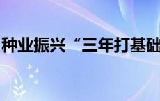 种业振兴“三年打基础”取得阶段性进展成效