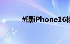 #曝iPhone16标准版相机变大#