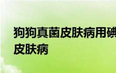 狗狗真菌皮肤病用碘伏消毒能行吗 狗狗真菌皮肤病 