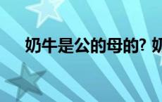 奶牛是公的母的? 奶牛是公的还是母的 