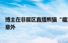 博主在非展区直播熊猫“福宝”，被终身禁入基地！称感到意外