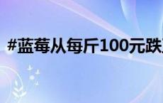 #蓝莓从每斤100元跌至10元#，正大量上市