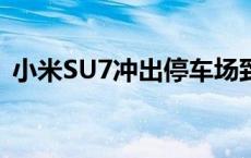 小米SU7冲出停车场致1死3伤，警方通报→