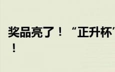 奖品亮了！“正升杯”龙舟赛在深汕火热开飙！