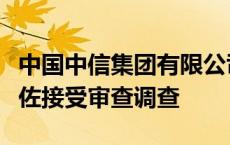 中国中信集团有限公司党委委员、副总经理徐佐接受审查调查