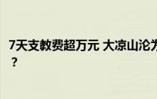 7天支教费超万元 大凉山沦为支教研学产业链的“公益秀场”？