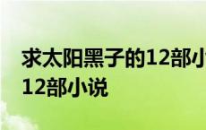 求太阳黑子的12部小说是什么 求太阳黑子的12部小说 