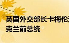 英国外交部长卡梅伦遭电信诈骗，对方冒充乌克兰前总统