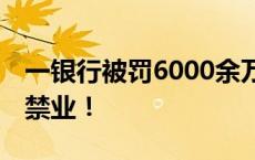 一银行被罚6000余万元！10名银行人被终身禁业！