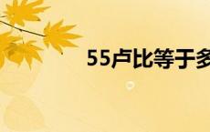 55卢比等于多少钱 55卢比 