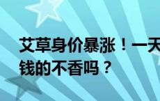 艾草身价暴涨！一天爆卖2万份！网友：2块钱的不香吗？