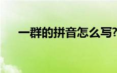 一群的拼音怎么写? 一群的拼音怎么写 